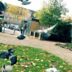 Am Fürther Markt