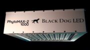 Blackdog LED Film 3 v3
