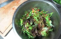Goldman kocht – Insalata di lattuga (Folge12) FullHD