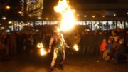 The Rockin Lafayettes And The Burning Mimikry