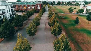 Gelbe Ringe und Verbindungen im Südstadtpark