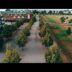 Gelbe Ringe und Verbindungen im Südstadtpark